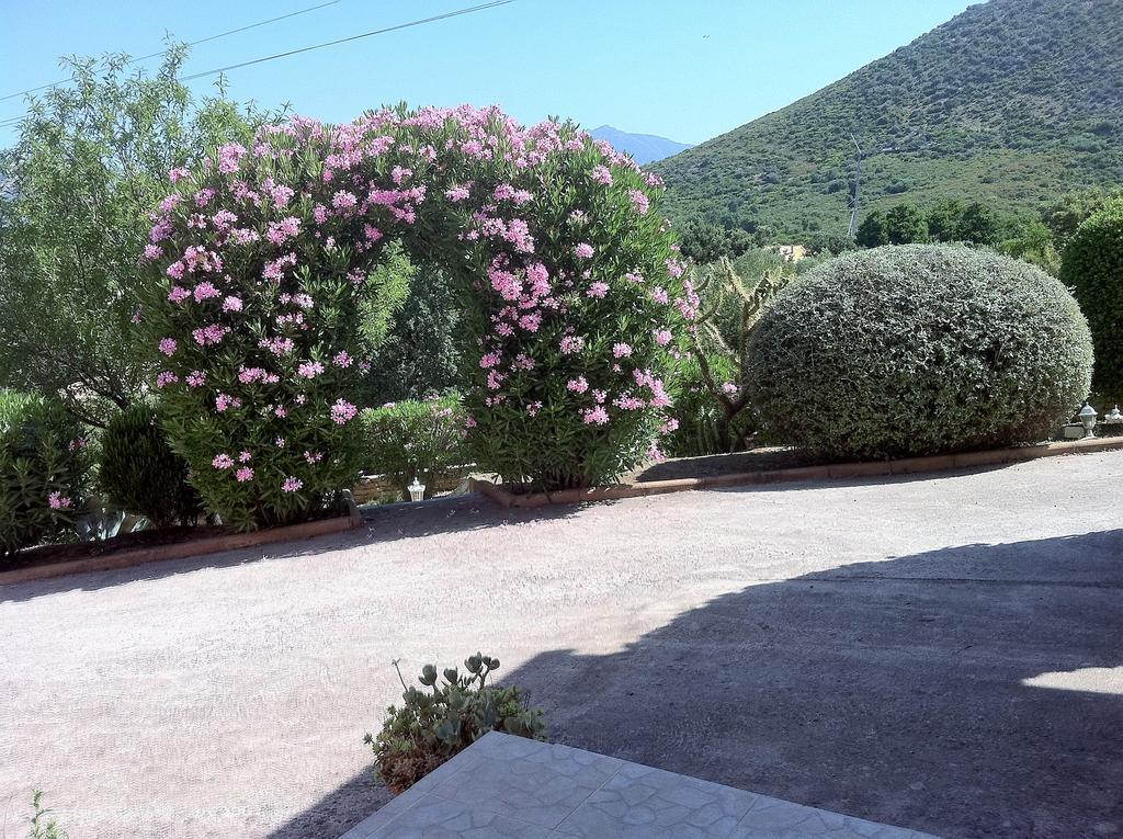 סן פלורן Villa Elofred מראה חיצוני תמונה